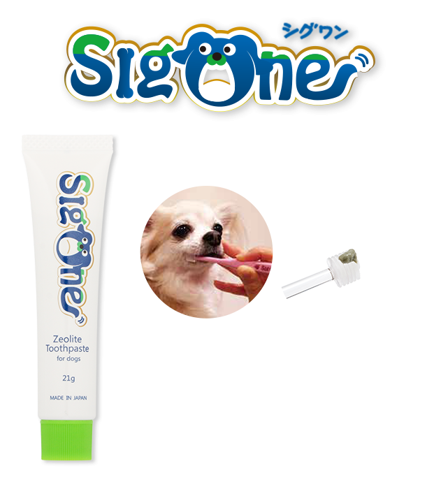 シグワンの犬用歯磨き粉“ゼオライトハミガキ”と“犬用歯ブラシ”との併用で、より高い予防効果が望めます！