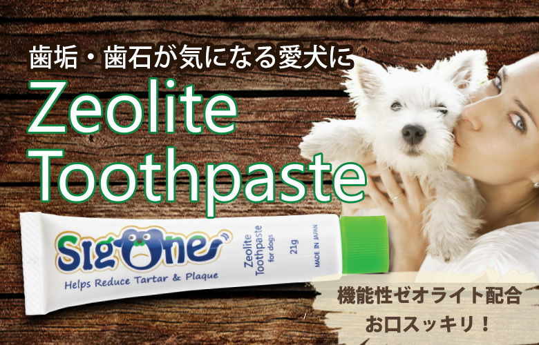犬用歯磨き粉ゼオライトハミガキ ペット用歯ブラシ業界 1 ビバテック