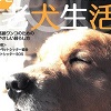 主婦の友社「老犬生活」にてシグワン紹介記事が掲載されました